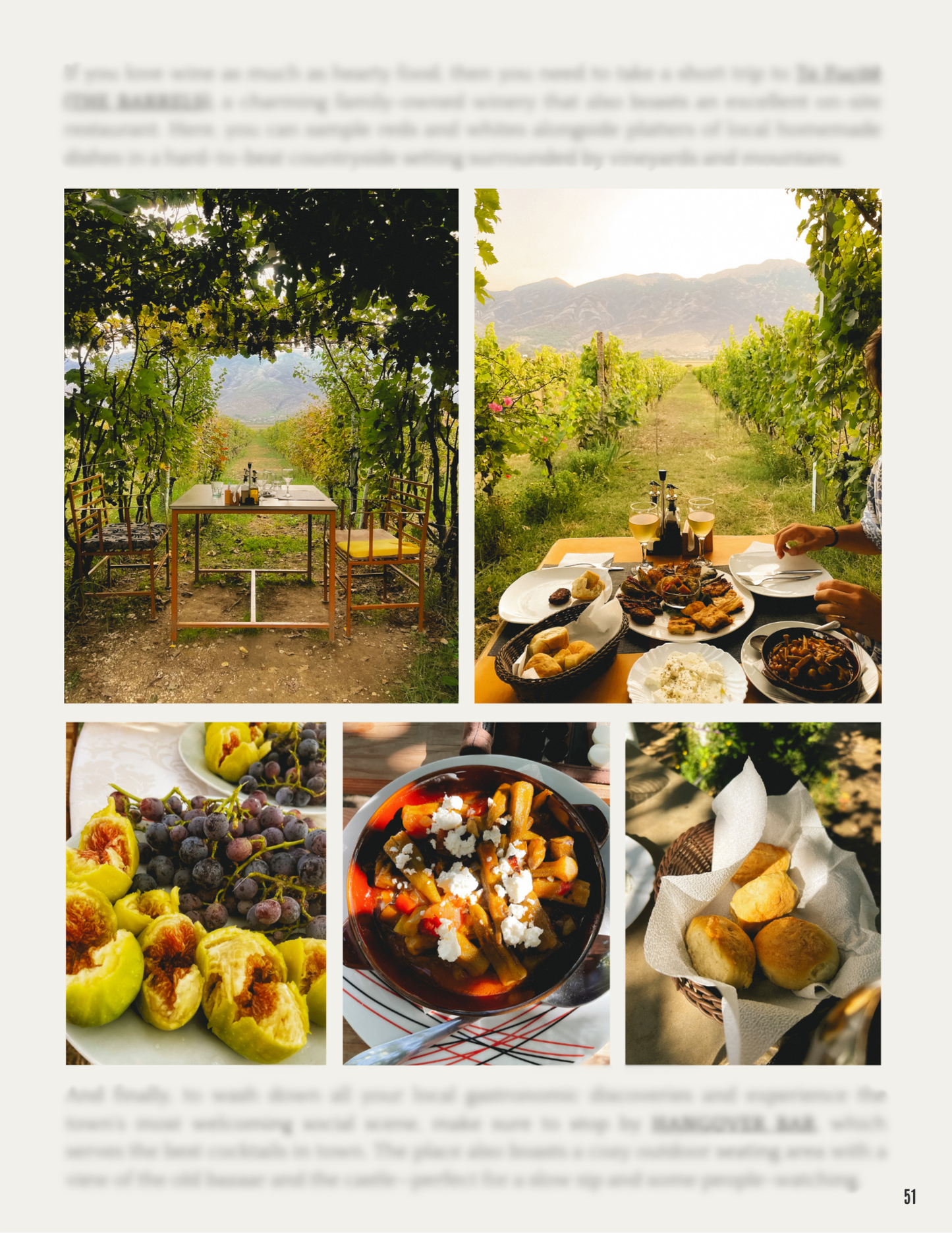 best wineries in Albania, best restaurants in Albania, restaurant guide Albania, where to eat in Gjirokaster